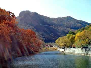 新澳门二四六天天彩，深圳大学校花